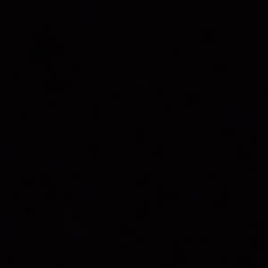 Burberry Tote-New w/Tags